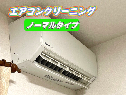 ノーマルタイプの画像