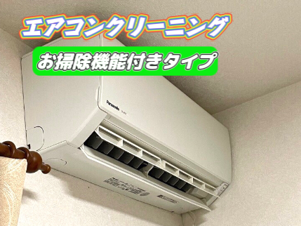 お掃除機能付きタイプの画像